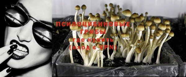 кокаин VHQ Белокуриха